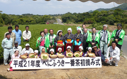 一番茶初摘み式の様子