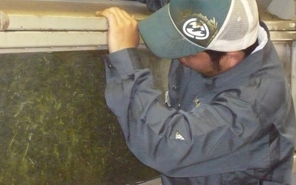 工場作業の様子